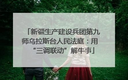 新疆生产建设兵团第九师乌拉斯台人民法庭：用“三调联动”解牛事