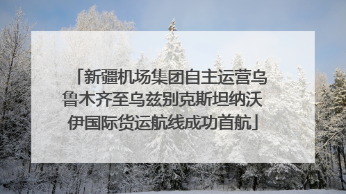 新疆机场集团自主运营乌鲁木齐至乌兹别克斯坦纳沃伊国际货运航线成功首航