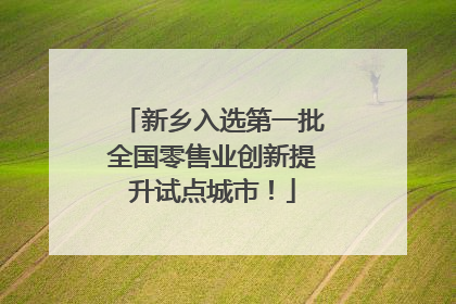 新乡入选第一批全国零售业创新提升试点城市！