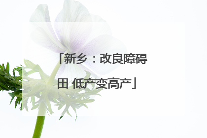 新乡：改良障碍田 低产变高产