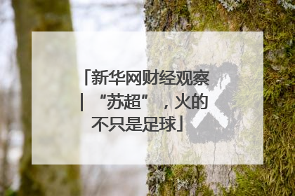 新华网财经观察｜“苏超”，火的不只是足球