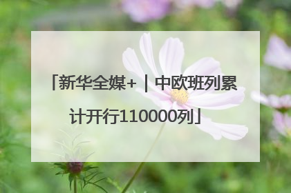 新华全媒+｜中欧班列累计开行110000列