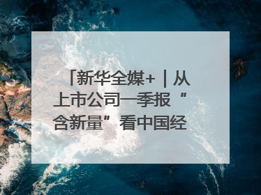 新华全媒+｜从上市公司一季报“含新量”看中国经济发展向“新”