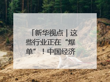 新华视点｜这些行业正在“爆单”！中国经济活力密码