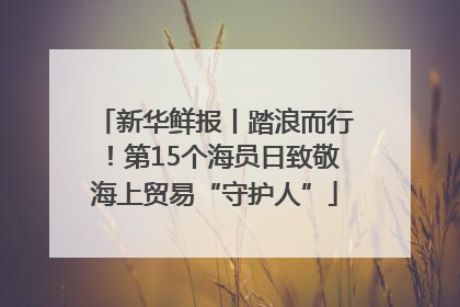 新华鲜报丨踏浪而行！第15个海员日致敬海上贸易“守护人”