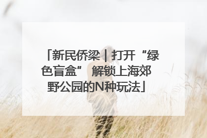 新民侨梁｜打开“绿色盲盒” 解锁上海郊野公园的N种玩法