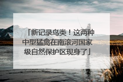新记录鸟类！这两种中型猛禽在南滚河国家级自然保护区现身了