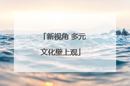 新视角 多元文化壁上观