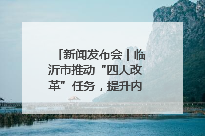 新闻发布会｜临沂市推动“四大改革”任务，提升内部审计监督效能