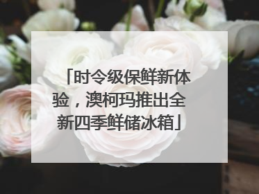 时令级保鲜新体验，澳柯玛推出全新四季鲜储冰箱