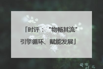 时评：“物畅其流”引擎循环、赋能发展