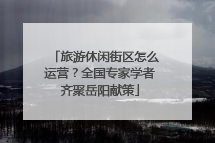 旅游休闲街区怎么运营？全国专家学者齐聚岳阳献策