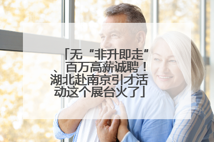 无“非升即走”、百万高薪诚聘！湖北赴南京引才活动这个展台火了