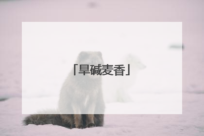 旱碱麦香