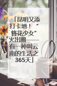 昆明又添打卡地！“簪花少女”火出圈——有一种叫云南的生活之365天