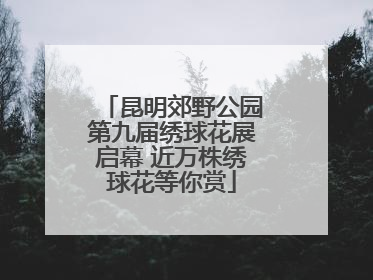 昆明郊野公园第九届绣球花展启幕 近万株绣球花等你赏
