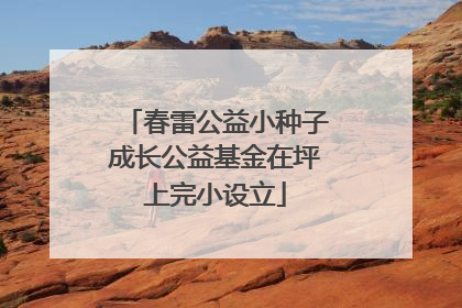 春雷公益小种子成长公益基金在坪上完小设立