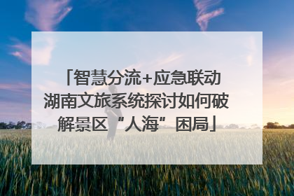 智慧分流+应急联动 湖南文旅系统探讨如何破解景区“人海”困局