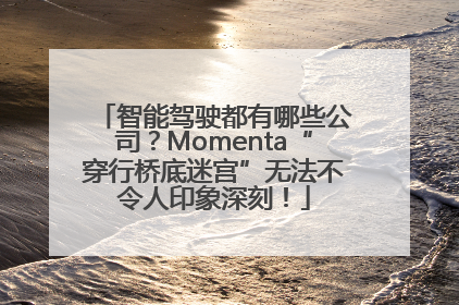 智能驾驶都有哪些公司？Momenta“穿行桥底迷宫”无法不令人印象深刻！