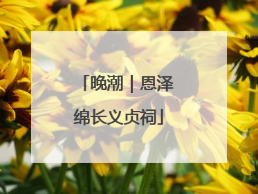 晚潮｜恩泽绵长义贞祠