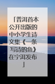 普洱首本公开出版的中小学生诗文集《一条写诗的鱼》在宁洱发布