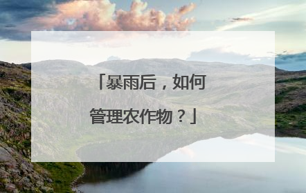 暴雨后，如何管理农作物？