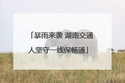 暴雨来袭 湖南交通人坚守一线保畅通