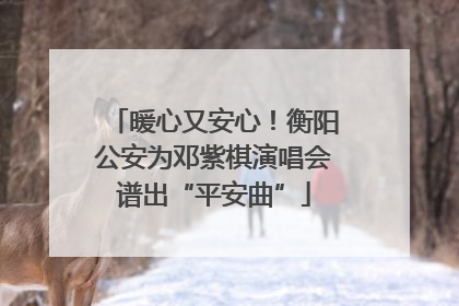 暖心又安心！衡阳公安为邓紫棋演唱会谱出“平安曲”