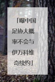 曝中国足协大概率不会与伊万科维奇续约