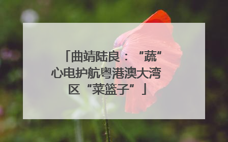 曲靖陆良：“蔬”心电护航粤港澳大湾区“菜篮子”