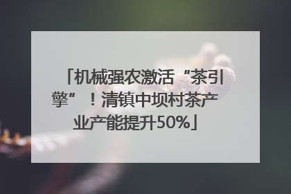 机械强农激活“茶引擎”！清镇中坝村茶产业产能提升50%