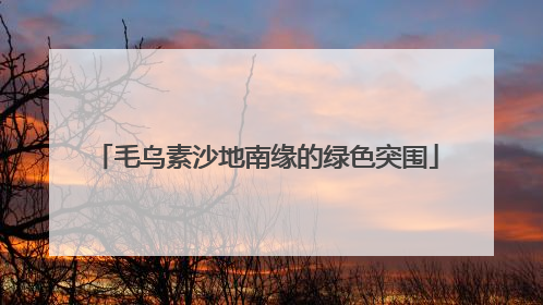 毛乌素沙地南缘的绿色突围