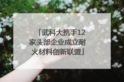 武科大携手12家头部企业成立耐火材料创新联盟
