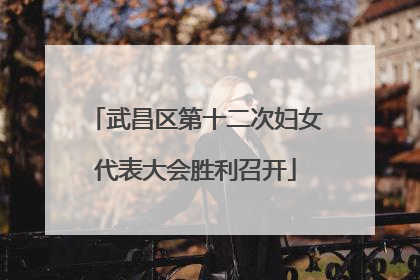 武昌区第十二次妇女代表大会胜利召开