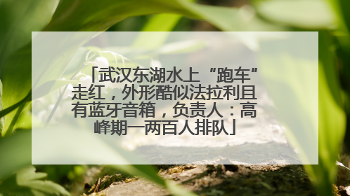 武汉东湖水上“跑车”走红，外形酷似法拉利且有蓝牙音箱，负责人：高峰期一两百人排队