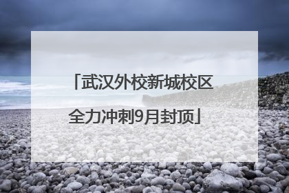 武汉外校新城校区全力冲刺9月封顶