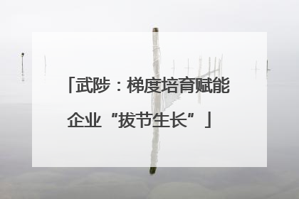 武陟：梯度培育赋能企业“拔节生长”