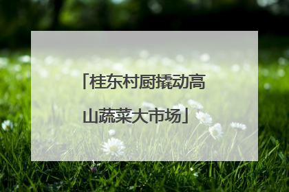 桂东村厨撬动高山蔬菜大市场