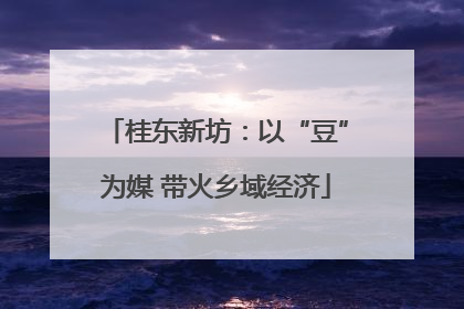 桂东新坊：以“豆”为媒 带火乡域经济