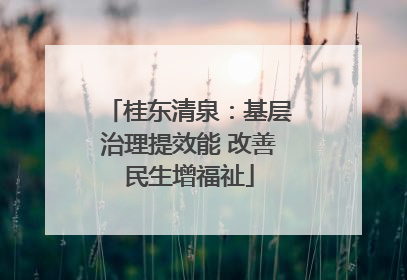 桂东清泉：基层治理提效能 改善民生增福祉