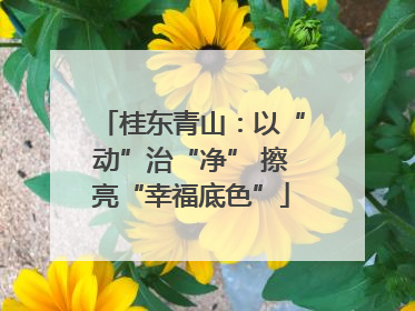 桂东青山：以“动”治“净” 擦亮“幸福底色”