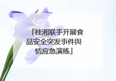 桂湘联手开展食品安全突发事件舆情应急演练