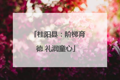 桂阳县：阶梯育德 礼润童心