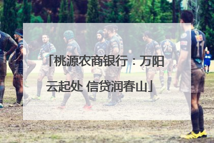 桃源农商银行：万阳云起处 信贷润春山