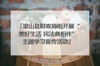 梁山县财政局组开展“美好生活 民法典相伴”主题学习宣传活动
