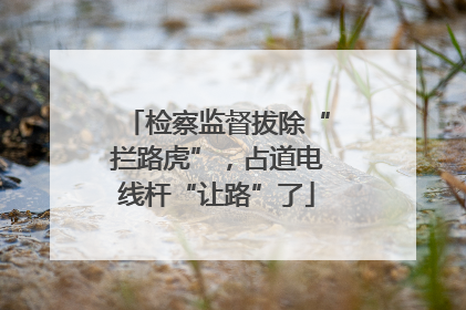 检察监督拔除“拦路虎”，占道电线杆“让路”了