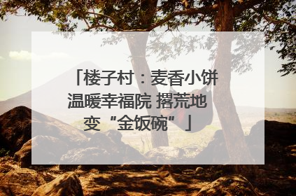 楼子村：麦香小饼温暖幸福院 撂荒地变“金饭碗”