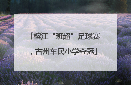 榕江“班超”足球赛,古州车民小学夺冠