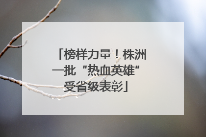 榜样力量！株洲一批“热血英雄”受省级表彰