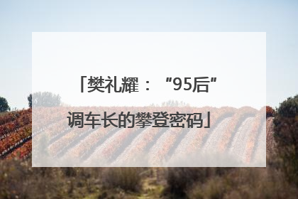 樊礼耀：“95后”调车长的攀登密码